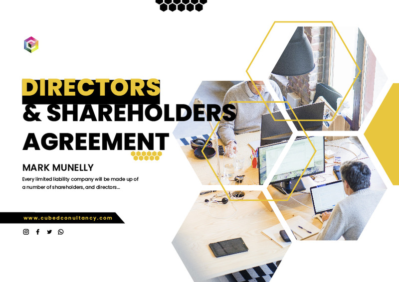 Shareholders and Directors Agreements